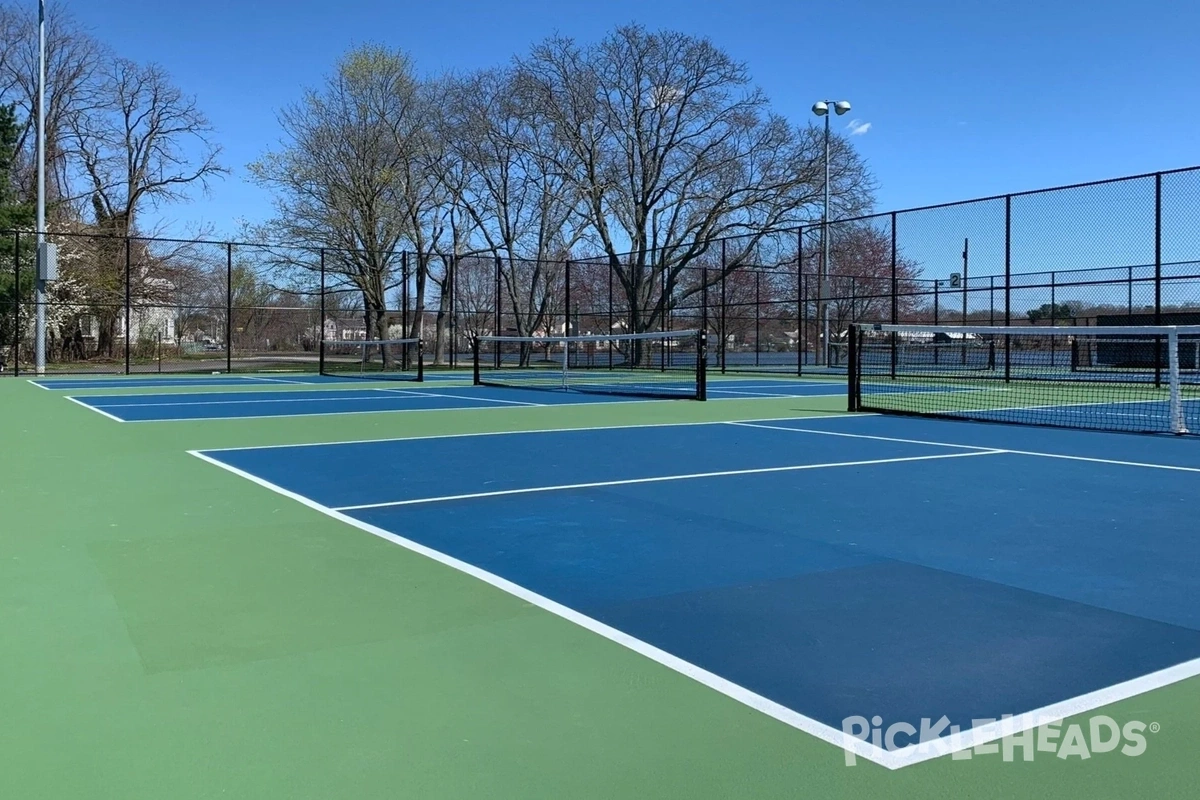 Professional Pickleball Court