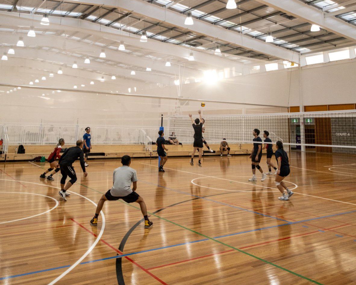 Volleyball Court